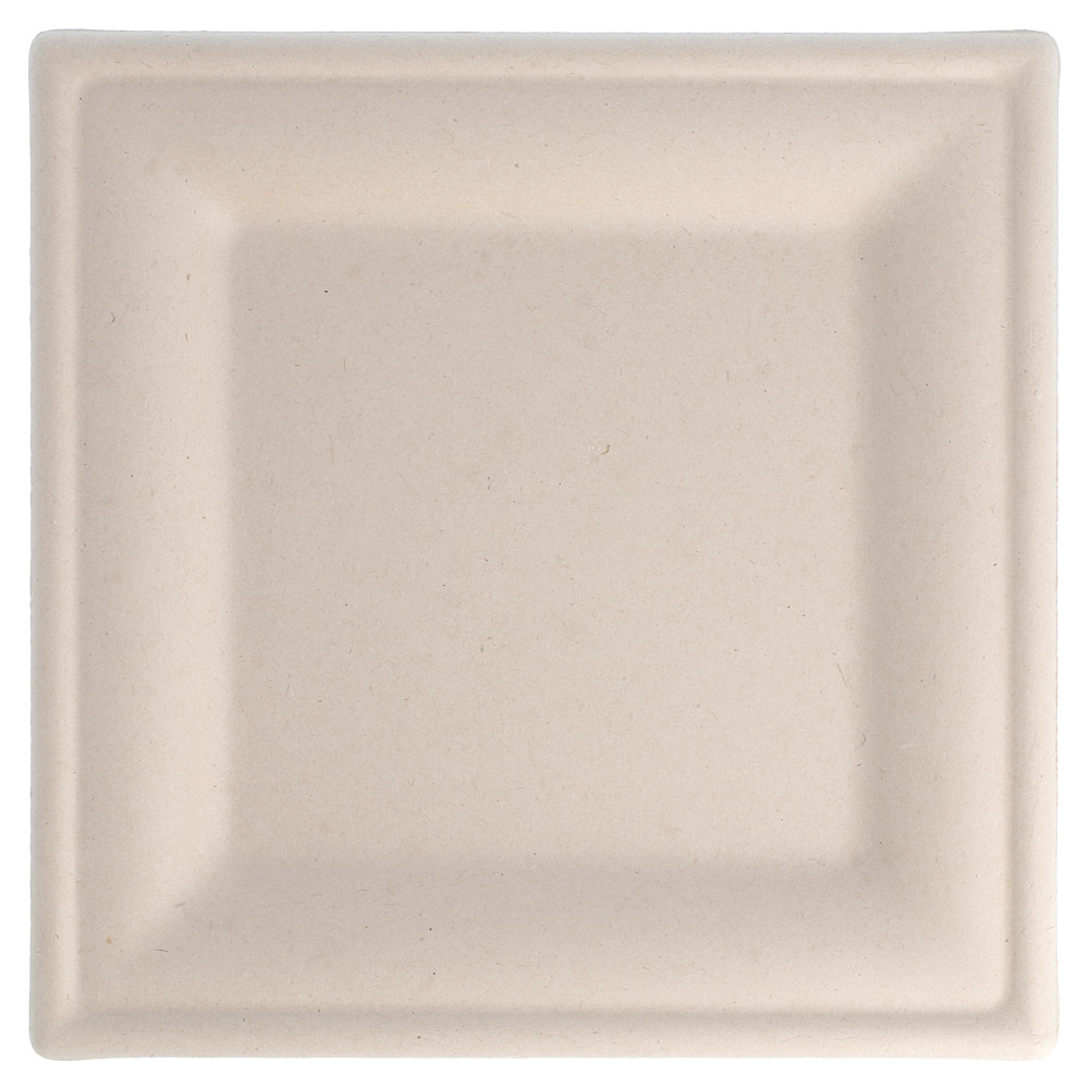 212.69-PIATTI QUADRATI 'BIONIC' 20x20x1 CM NATURALE BAGASSA (50 u.)