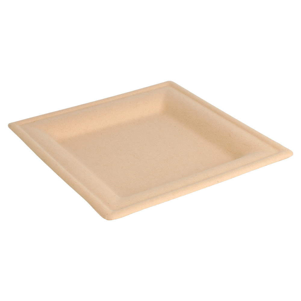 212.68-PIATTI QUADRATI 'BIONIC' 16x16x1 CM NATURALE BAGASSA (50 u.)