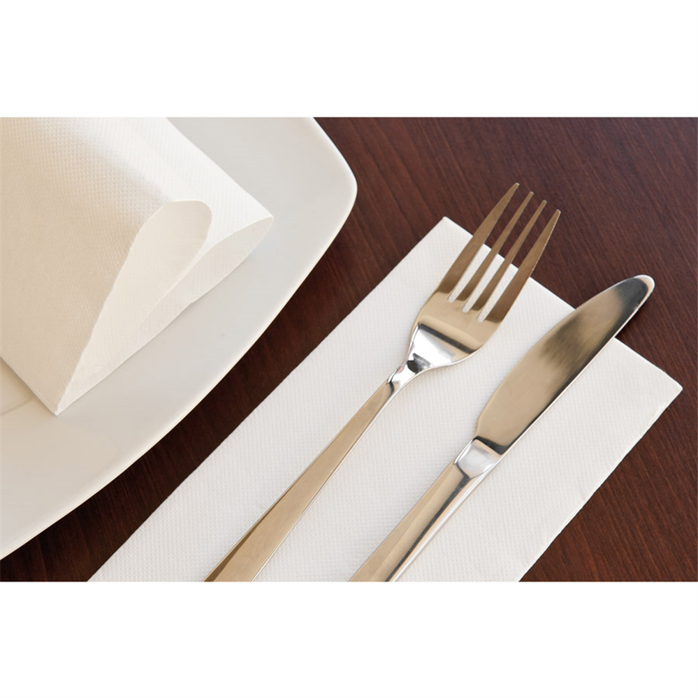 101.32-TOVAGLIOLI ECOLABEL 'DOUBLE POINT' 18 G/M2 39x39 CM BIANCO TISSUE (50 u.)