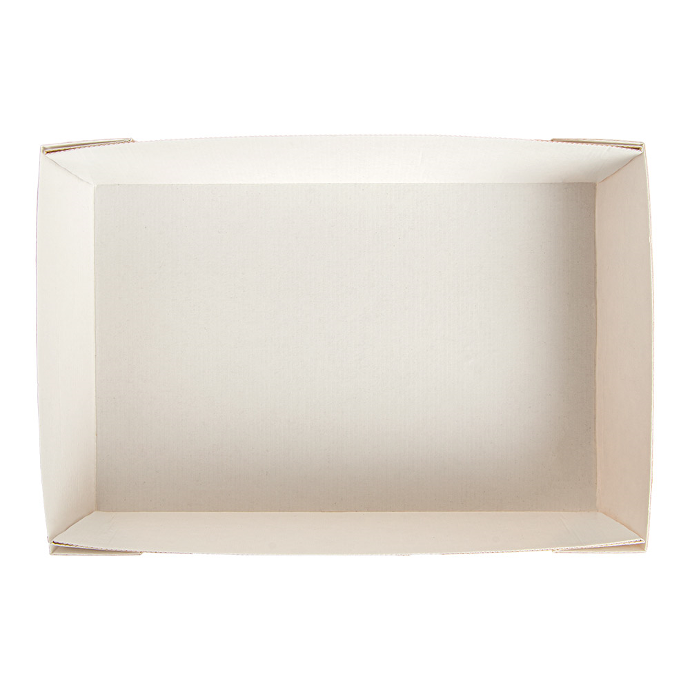 254.71-SCATOLE THEPACK 22x15x5 CM BIANCO CARTONE NANO-MICRO + PP (50 u.)