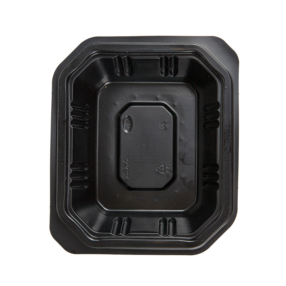 262.62-RECIPIENTI 250 ML 13,9x11,8x4 CM NERO PP (50 u.)