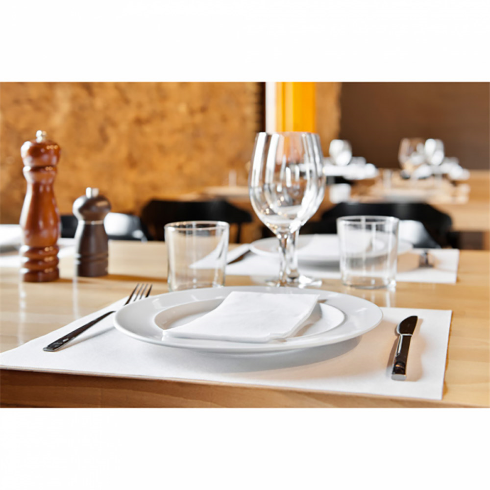 230.81-TOVAGLIOLI ECOLABEL P. 1/8 'DOUBLE POINT' 18 G/M2 40x40 CM BIANCO TISSUE (50 u.)