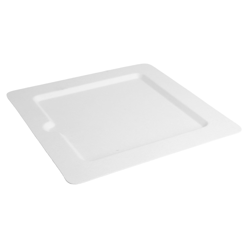 212.73-PIATTI QUADRATI 'BIONIC' 20x20x1 CM BIANCO BAGASSA (50 u.)