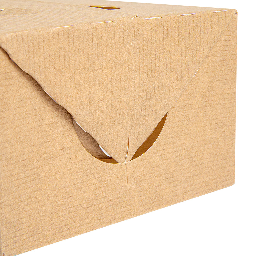 256.65-SCATOLE PORTA PRANZO 'THEPACK' 1 L 11x18x7 CM NATURALE CARTONE NANO-MICRO (50 u.)