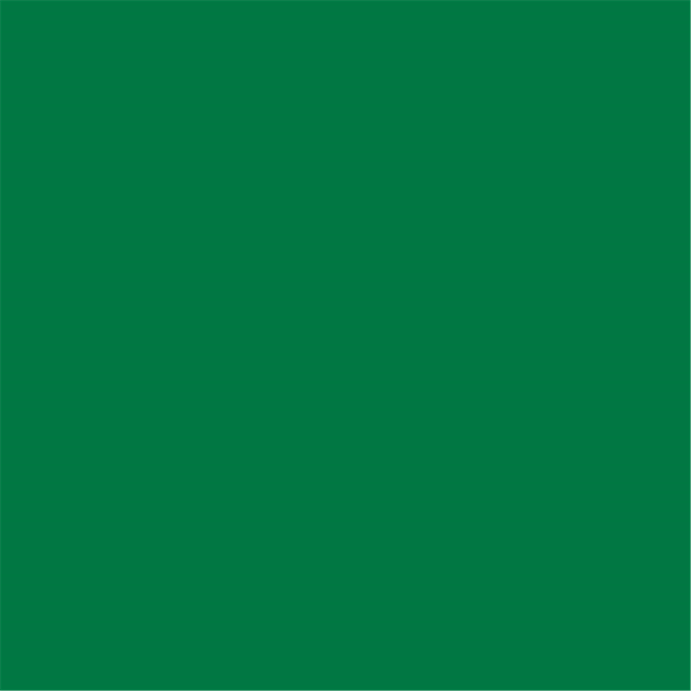 166.09-TOVAGLIOLI 55 G/M2 40x40 CM VERDE GIAGUARO AIRLAID (50 u.)