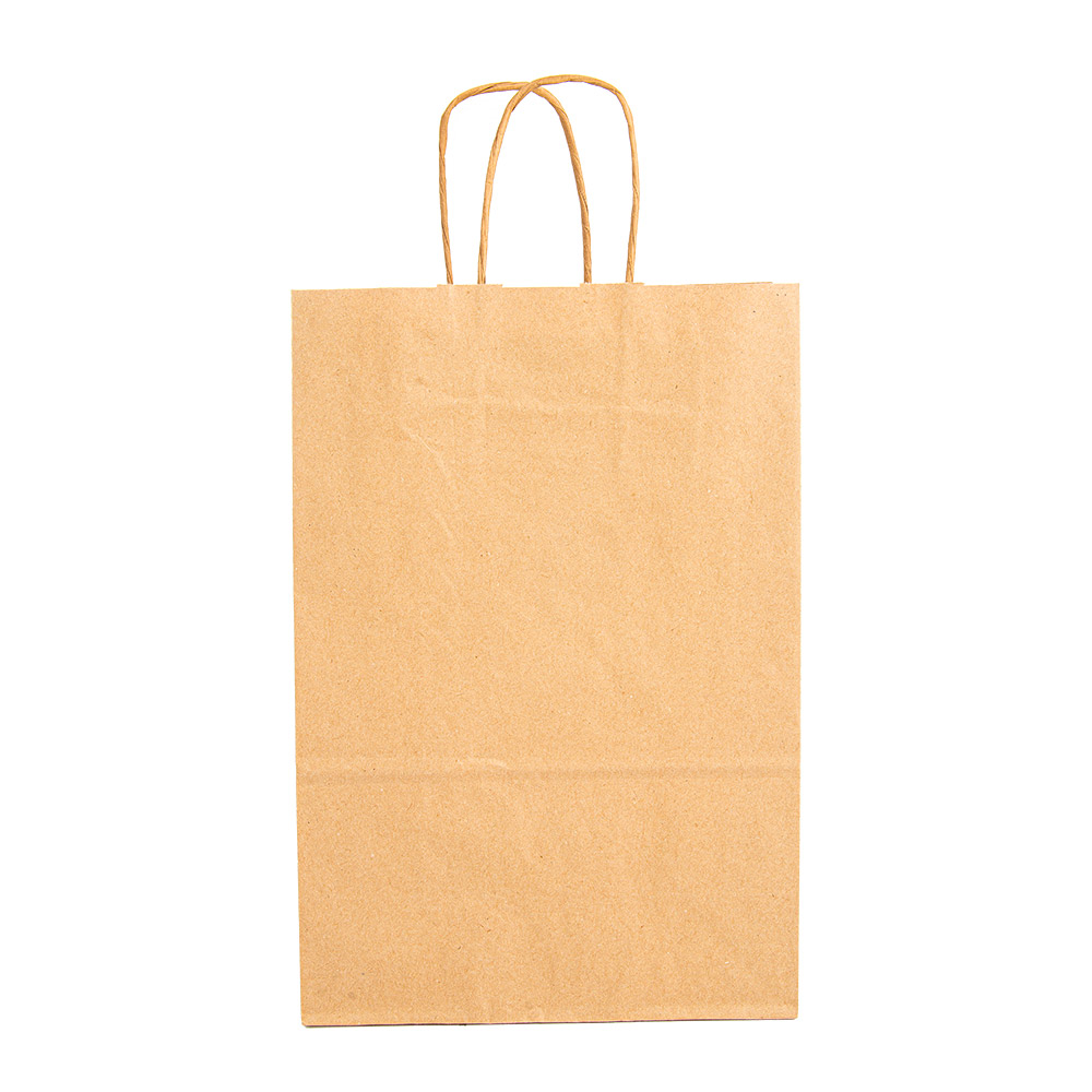109.19-SACCHETTI SOS CON MANICI 80 G/M2 20+10x29 CM NATURALE KRAFT (250 u.)