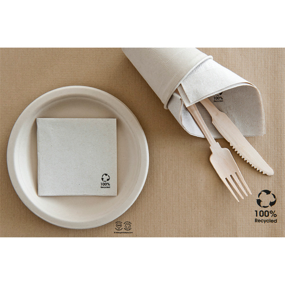 191.09-TOVAGLIOLI ECOLABEL 'DOUBLE POINT' 19 G/M2 20x20 CM NATURALE TISSUE RICICLATO (100 u.)