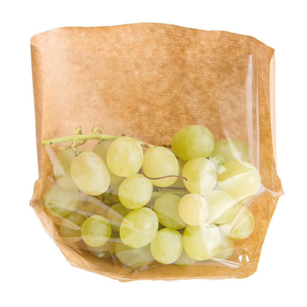 173.10-CONFEZIONI CON BASE E FINESTRA TURTLE PACK 50 G/M2 + 15 PP 20+4/4x15 CM NATURALE KRAFT (100 u.)