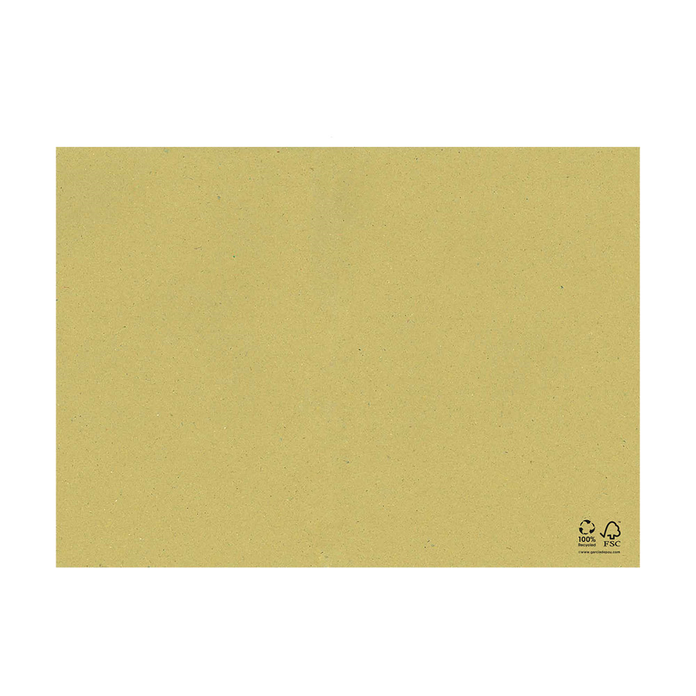 199.16-TOVAGLIETTE FEEL GREEN  90 G/M2 31x43 CM PAGLIA CARTA RICICLATA (250 u.)