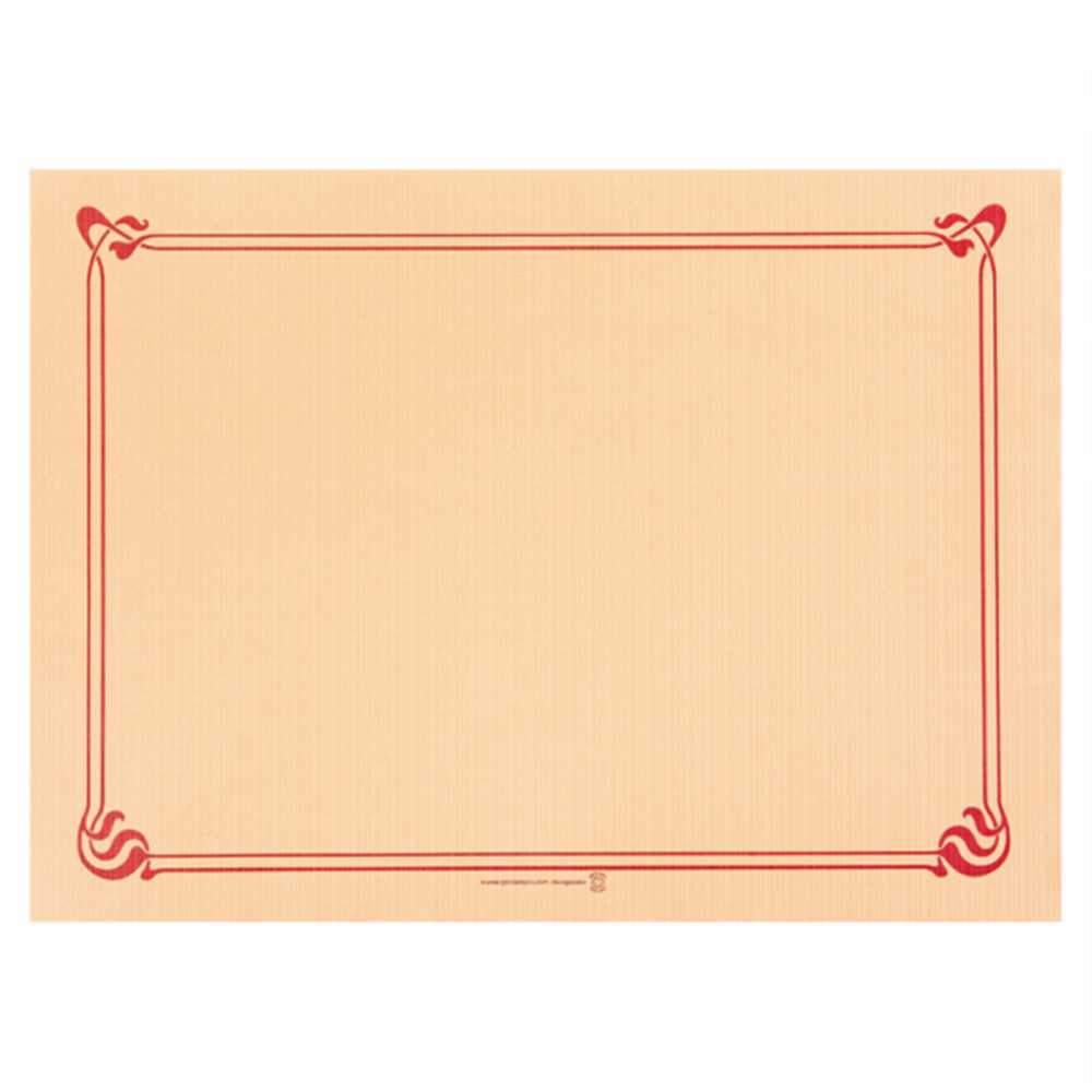 108.04-TOVAGLIETTE  48 G/M2 31x43 CM AVORIO CELLULOSA (500 u.)