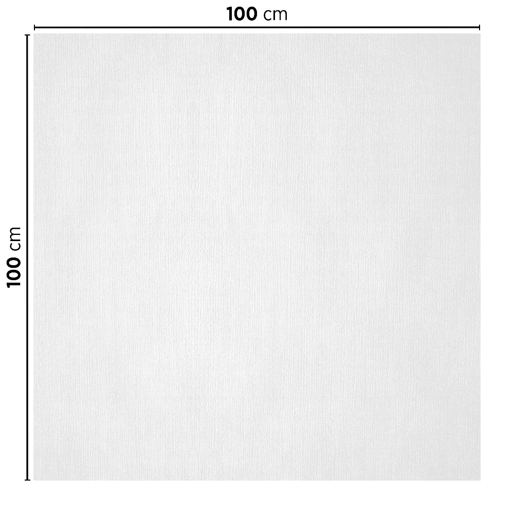 195.99-TOVAGLIE PIEGATE M  48 G/M2 100x100 CM BIANCO CELLULOSA (20 u.)