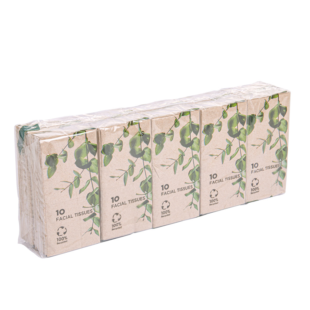 251.09-10 U. x 10 U. FAZZOLETTI 3 VELI 'FEEL GREEN'  21x21 CM NATURALE KRAFT