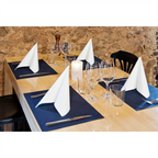 165.69-TOVAGLIETTE 'SPUNBOND'  60 G/M2 30x40 CM BLU MARINO PP (200 u.)