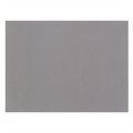 155.35-TOVAGLIETTE 'SPUNBOND'  60 G/M2 30x40 CM GRIGIO PP (200 u.)