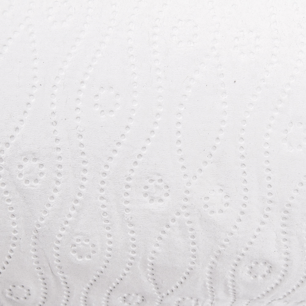 228.54-2 U.ROTOLI "CUCINA" ECOLABEL 2 STRATI 'FEEL GREEN'  24,5 G/M2 24,5 CM x 30 M BIANCO CARTA RICICLATA