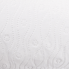 228.54-2 U.ROTOLI "CUCINA" ECOLABEL 2 STRATI 'FEEL GREEN'  24,5 G/M2 24,5 CM x 30 M BIANCO CARTA RICICLATA