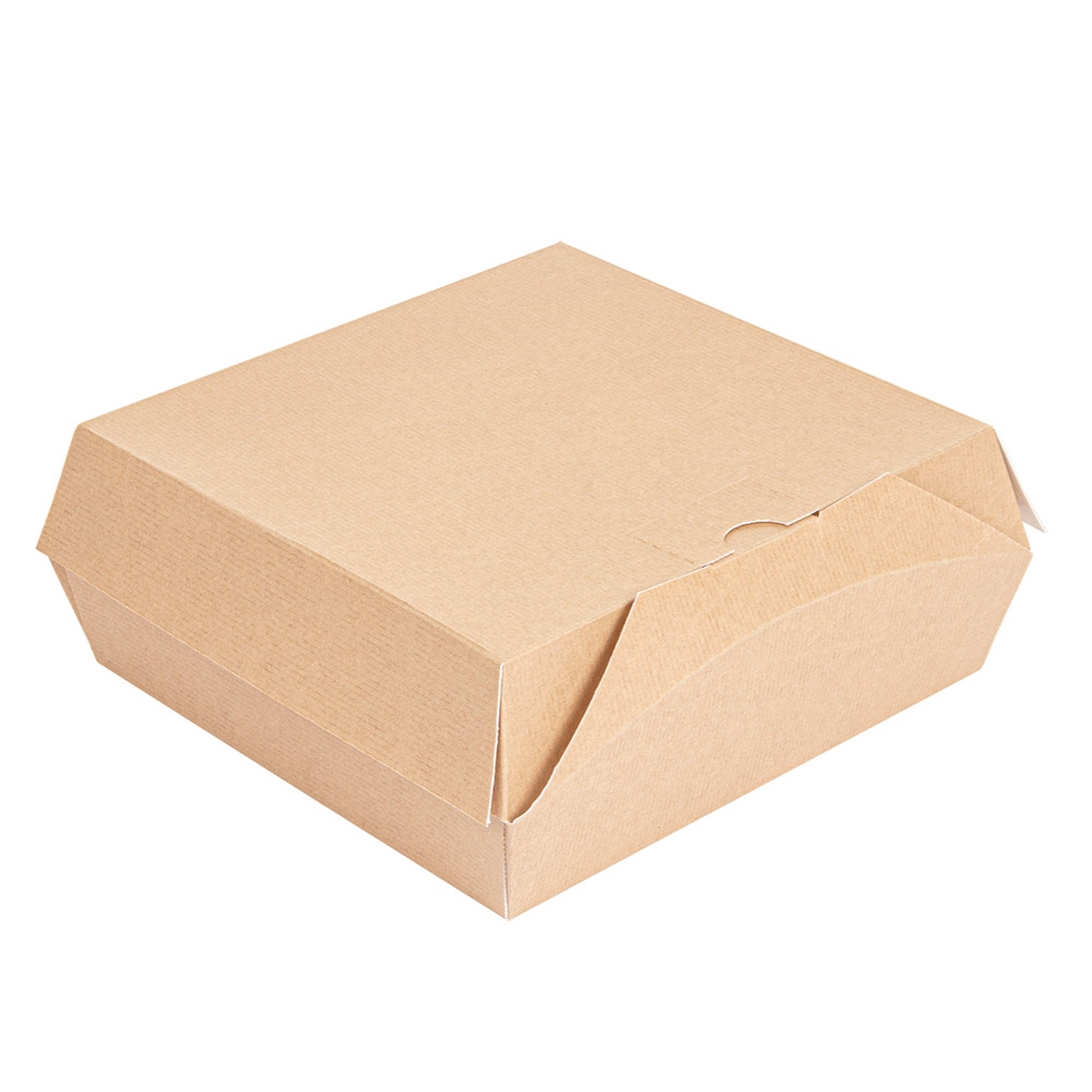254.58-SCATOLE "LUNCH BOX" THEPACK  21x20,5x8 CM NATURALE CARTONE NANO-MICRO (50 u.)