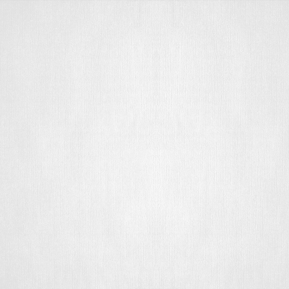 195.99-TOVAGLIE PIEGATE M  48 G/M2 100x100 CM BIANCO CELLULOSA (20 u.)