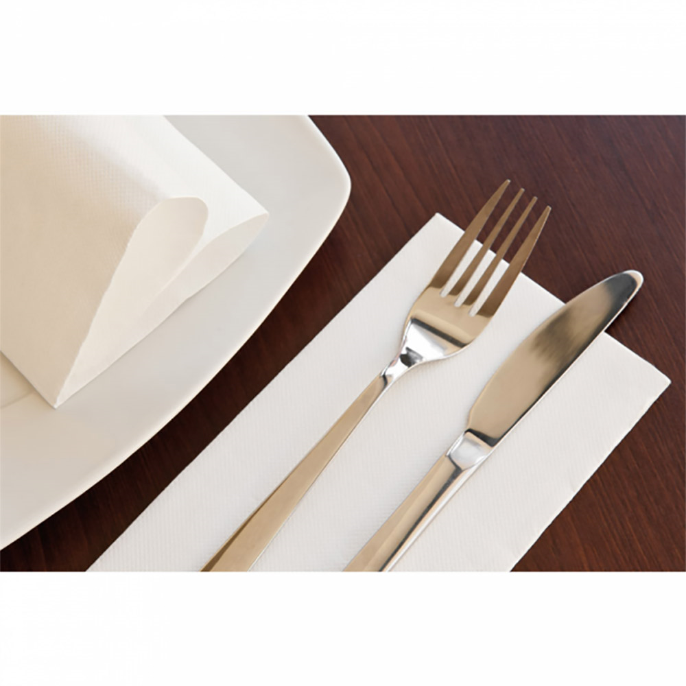 230.81-TOVAGLIOLI ECOLABEL P. 1/8 'DOUBLE POINT' 18 G/M2 40x40 CM BIANCO TISSUE (50 u.)