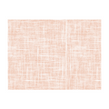 273.57-TOVAGLIETTE 'SPUNBOND'  60 G/M2 30x40 CM TERRACOTTA PP (200 u.)
