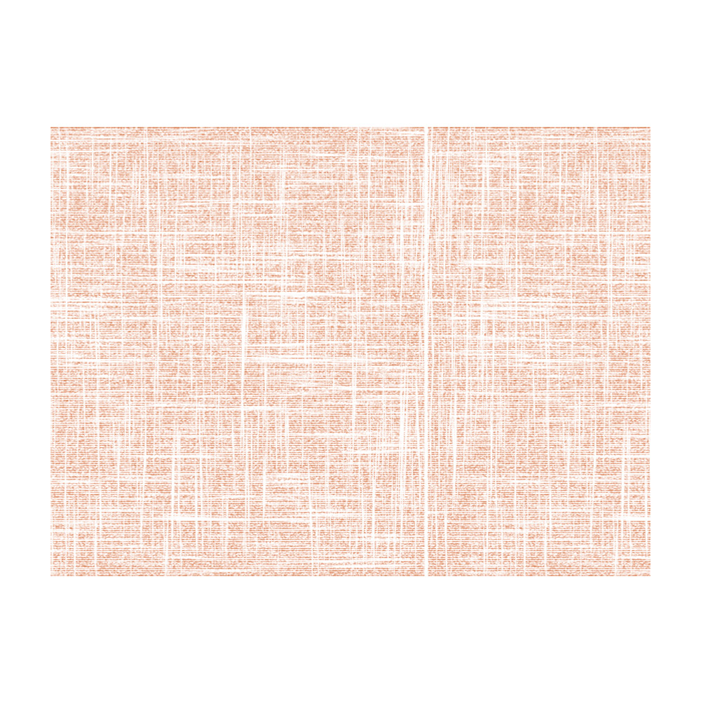 273.57-TOVAGLIETTE 'SPUNBOND'  60 G/M2 30x40 CM TERRACOTTA PP (200 u.)