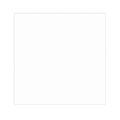 233.22-CARTA ANTIGRASSO BASKET  35 G/M2 31x31 CM BIANCO PERGAMANA ANTIGRASSI (1000 u.)