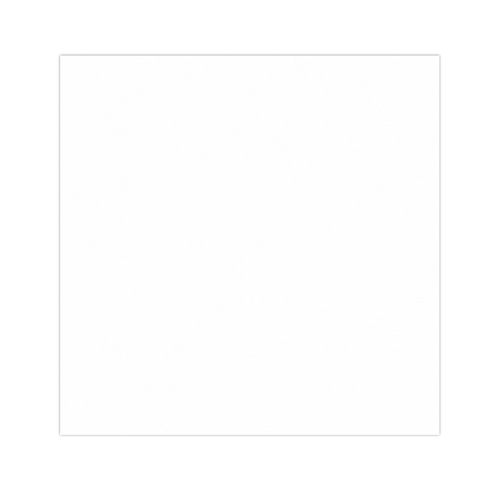 233.22-CARTA ANTIGRASSO BASKET  35 G/M2 31x31 CM BIANCO PERGAMANA ANTIGRASSI (1000 u.)