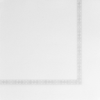 101.30-TOVAGLIOLI ECOLABEL CON BORDO 'DOUBLE POINT'  18 G/M2 39x39 CM BIANCO TISSUE (50 u.)