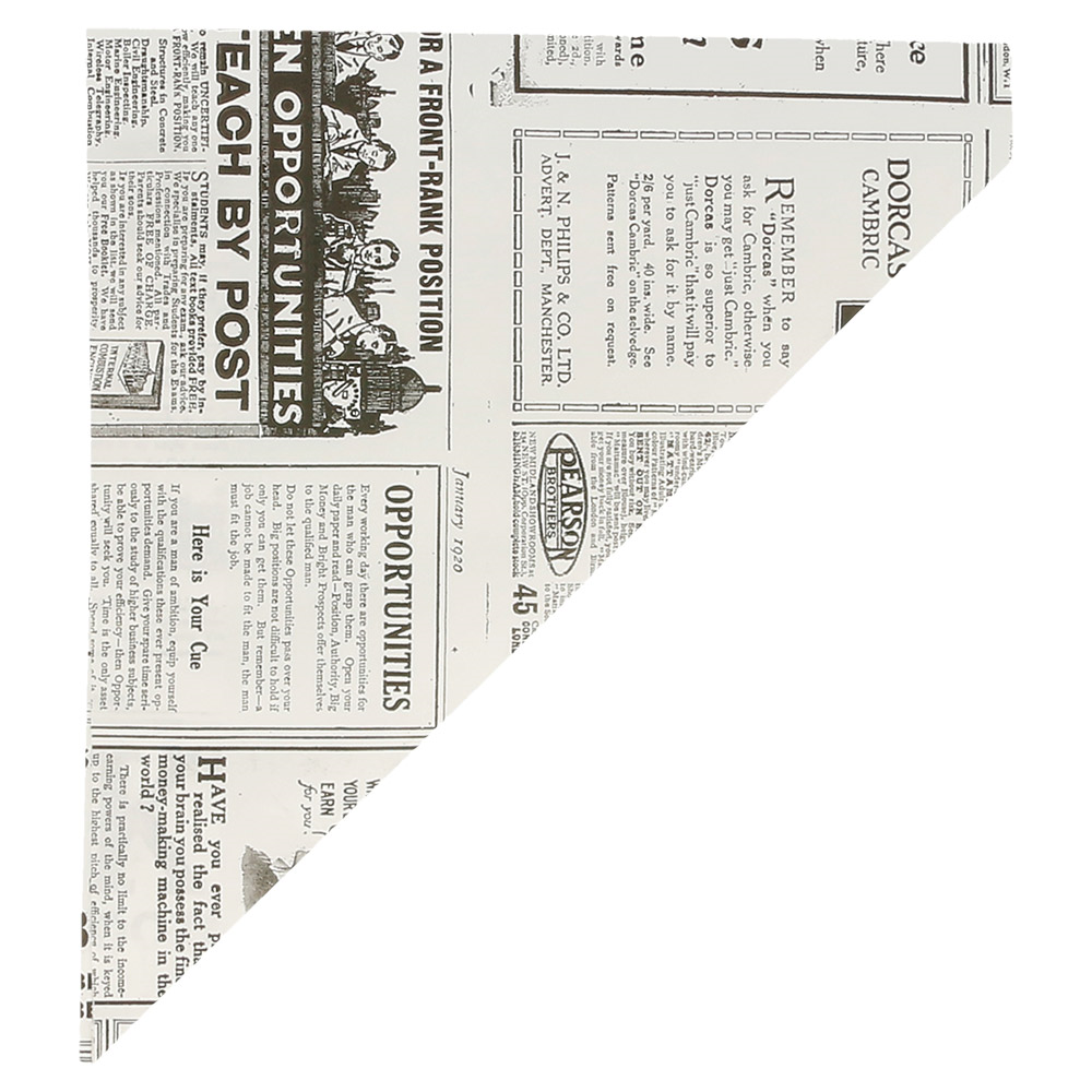167.41-SACCHETTI A PUNTA TIMES 100 G 70 G/M2 24x17 CM BIANCO PERGAMANA ANTIGRASSI (250 u.)