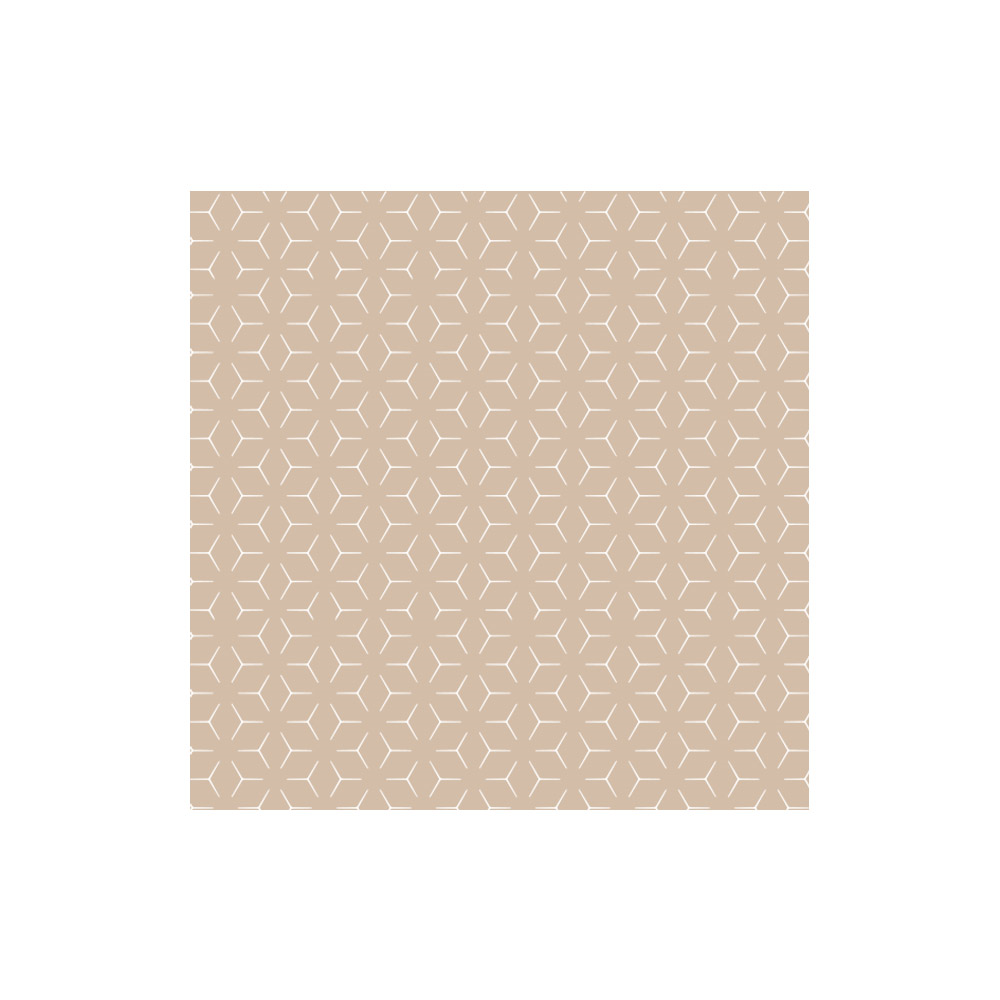 270.88-CARTA ANTIGRASSO CERATA 2 FACCE 'PFAS FREE'  10+60+10 G/M2 31x31 CM NATURALE KRAFT + CERA VEGETALE (500 u.)