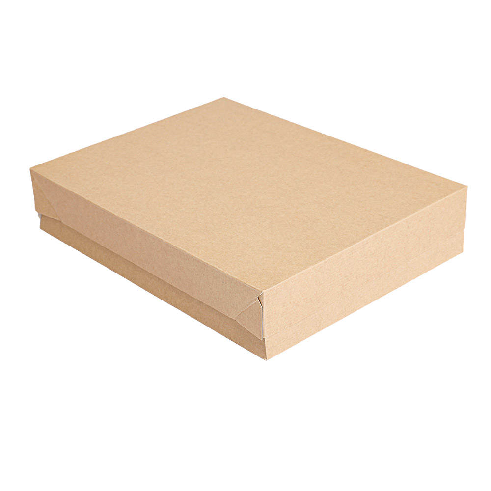 251.72-VASSOI + COPERCHIO 'THEPACK'  23x17x4,5 CM NATURALE CARTONE NANO-MICRO (50 u.)