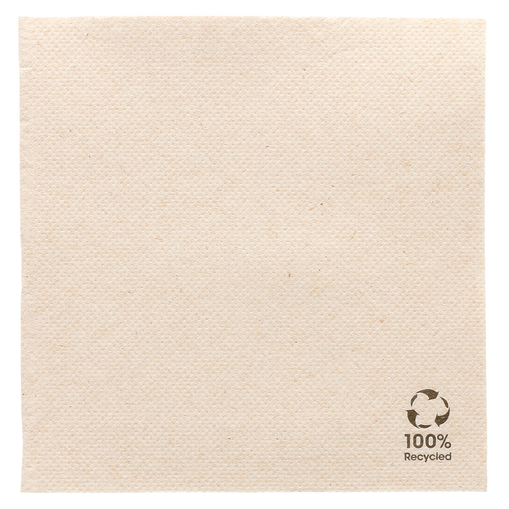 214.06-TOVAGLIOLI RICICLATI ECOLABEL 'DOUBLE POINT'  19 G/M2 25x25 CM NATURALE TISSUE RICICLATO (50 u.)