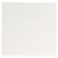 166.31-TOVAGLIOLI ECOLABEL 'DOUBLE POINT' 18 G/M2 33x33 CM BIANCO TISSUE (50 u.)
