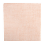 264.27-TOVAGLIOLI DRY COTTON 55 G/M2 40x40 CM TERRACOTTA AIRLAID (50 u.)