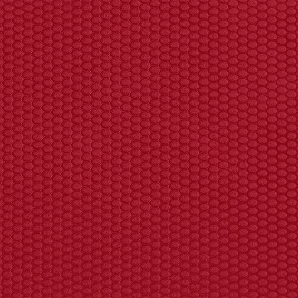 203.39-TOVAGLIETTE SPUNBOND PLUS+  80 G/M2 30x40 CM BORDEAUX PP (100 u.)