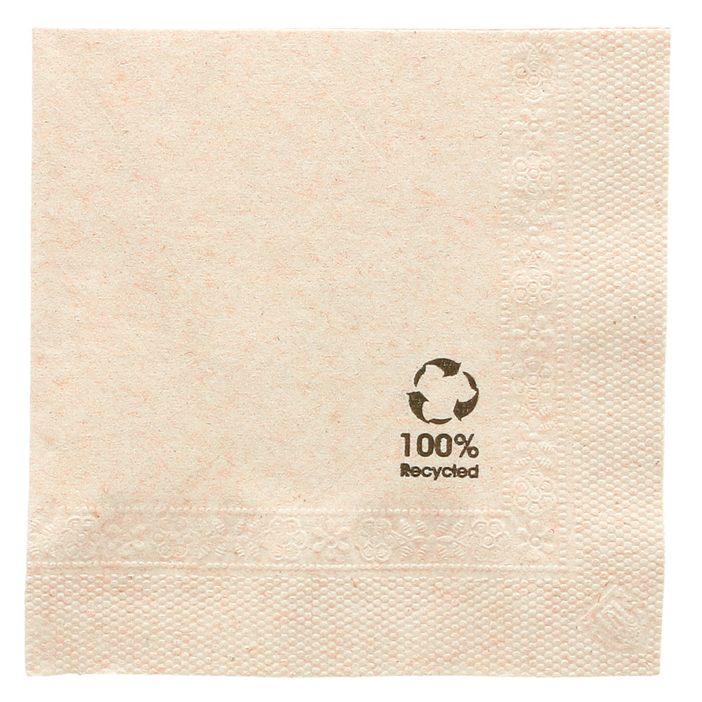 232.04-TOVAGLIOLI ECOLABEL 2 VELI 'FEEL GREEN'  18 G/M2 25x25 CM NATURALE TISSUE RICICLATO (100 u.)