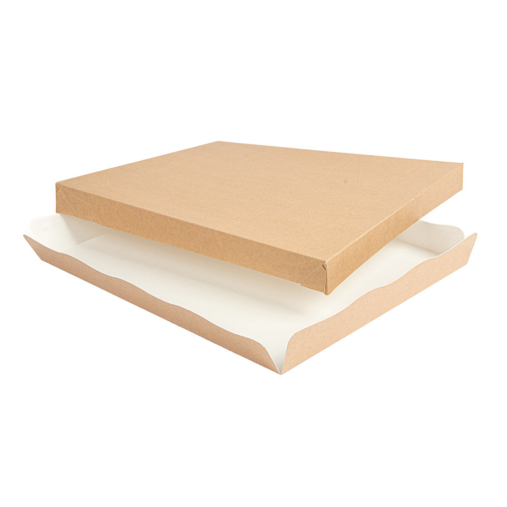 251.73-VASSOI + COPERCHIO 'THEPACK'  32x27x4 CM NATURALE CARTONE NANO-MICRO (50 u.)