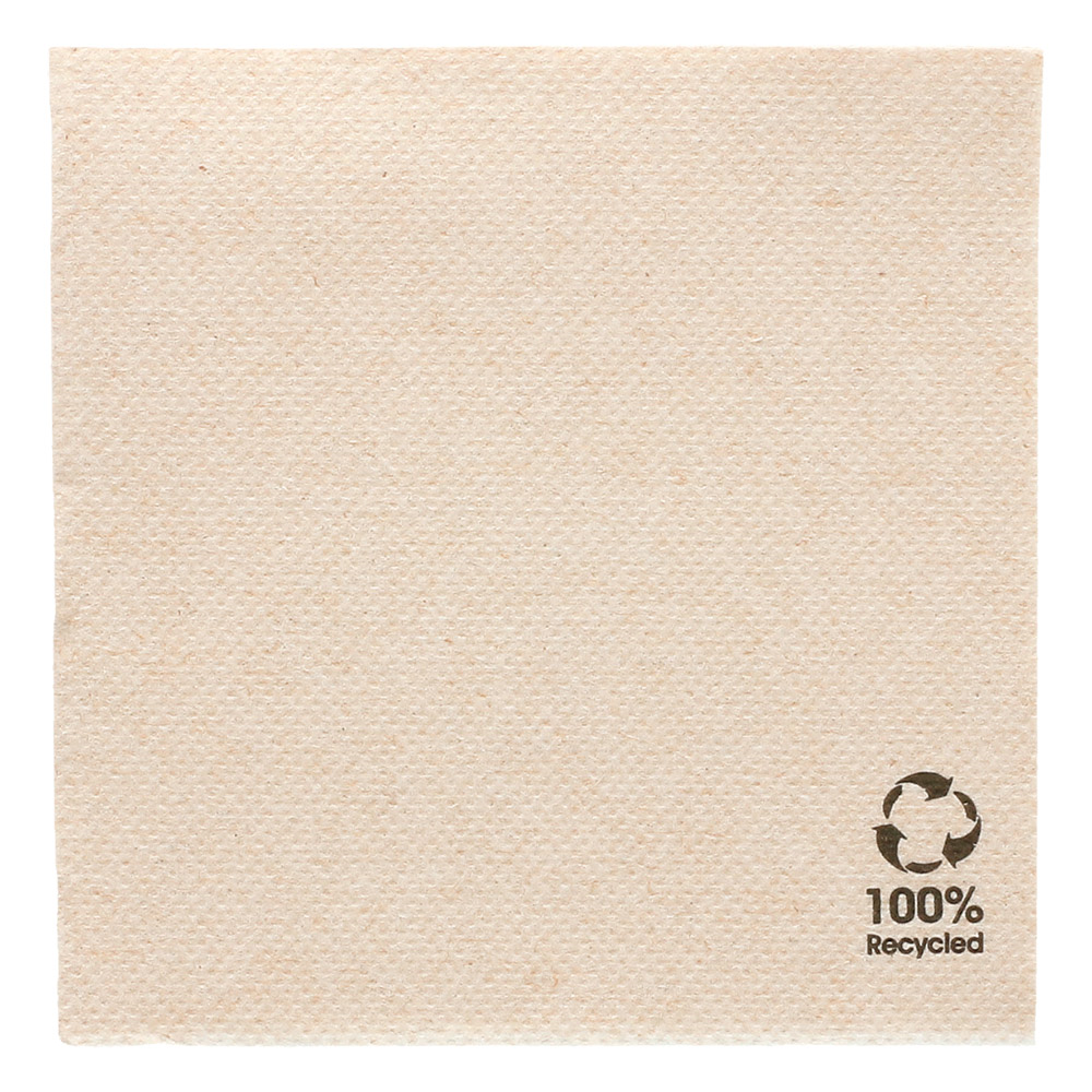 191.09-TOVAGLIOLI ECOLABEL 'DOUBLE POINT'  19 G/M2 20x20 CM NATURALE TISSUE RICICLATO (100 u.)