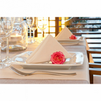 179.36-TOVAGLIOLI 'LIKE LINEN' MONOCHROME 70 G/M2 40x40 CM CREMA SPUNLACE (50 u.)