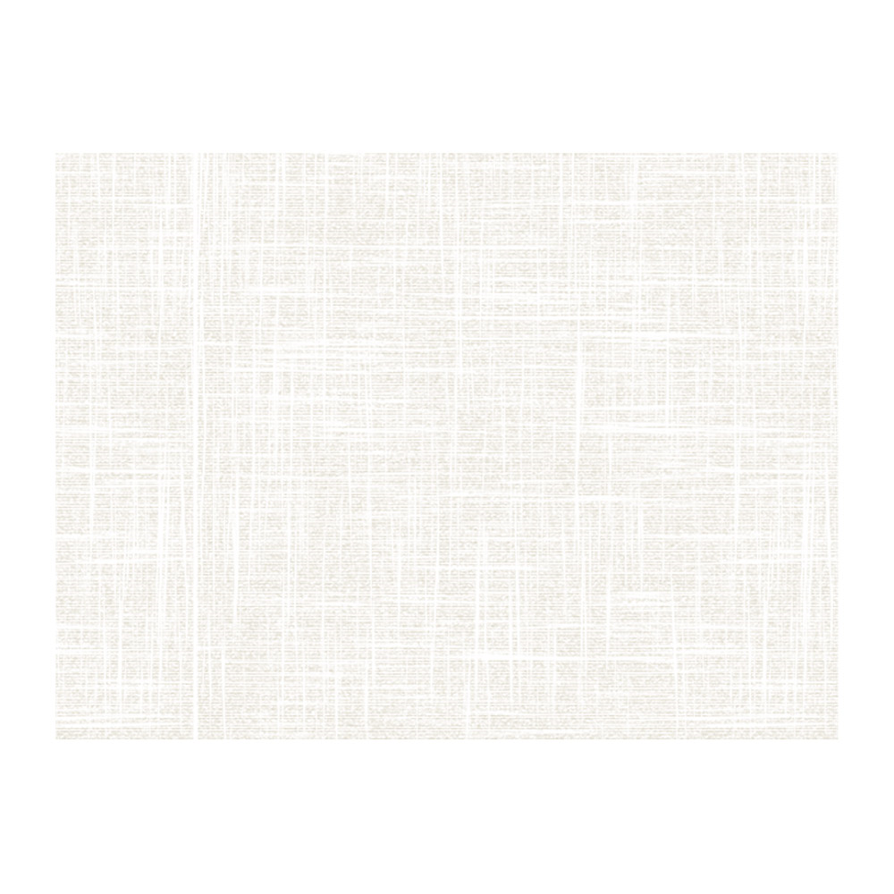 273.53-TOVAGLIETTE 'SPUNBOND'  60 G/M2 30x40 CM AVORIO PP (200 u.)