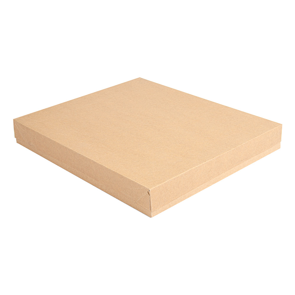 251.73-VASSOI + COPERCHIO 'THEPACK'  32x27x4 CM NATURALE CARTONE NANO-MICRO (50 u.)