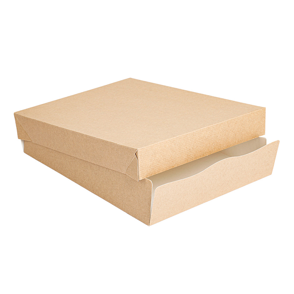 251.72-VASSOI + COPERCHIO 'THEPACK'  23x17x4,5 CM NATURALE CARTONE NANO-MICRO (50 u.)