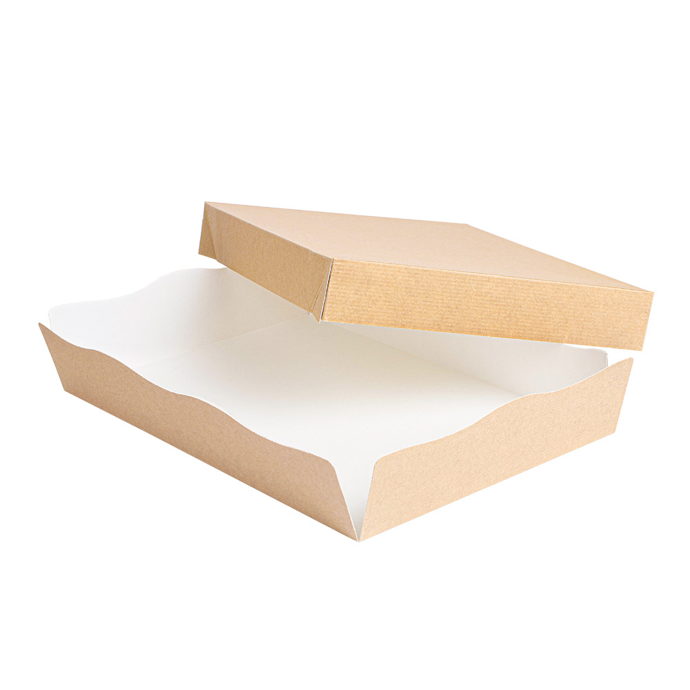 251.72-VASSOI + COPERCHIO 'THEPACK'  23x17x4,5 CM NATURALE CARTONE NANO-MICRO (50 u.)