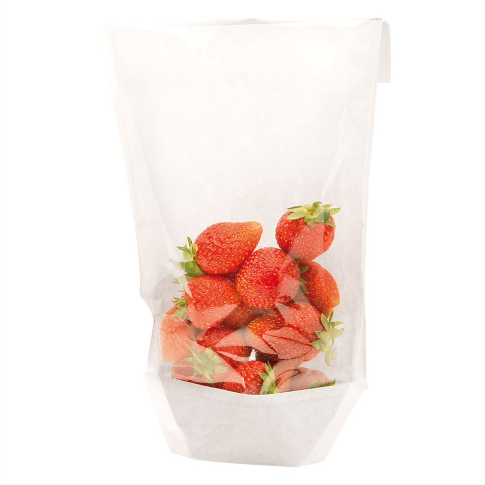 173.20-CONFEZIONI CON BASE E FINESTRA TURTLE PACK 50 G/M2 + 15 PP 14+3,5/3,5x24/21 CM BIANCO KRAFT (100 u.)