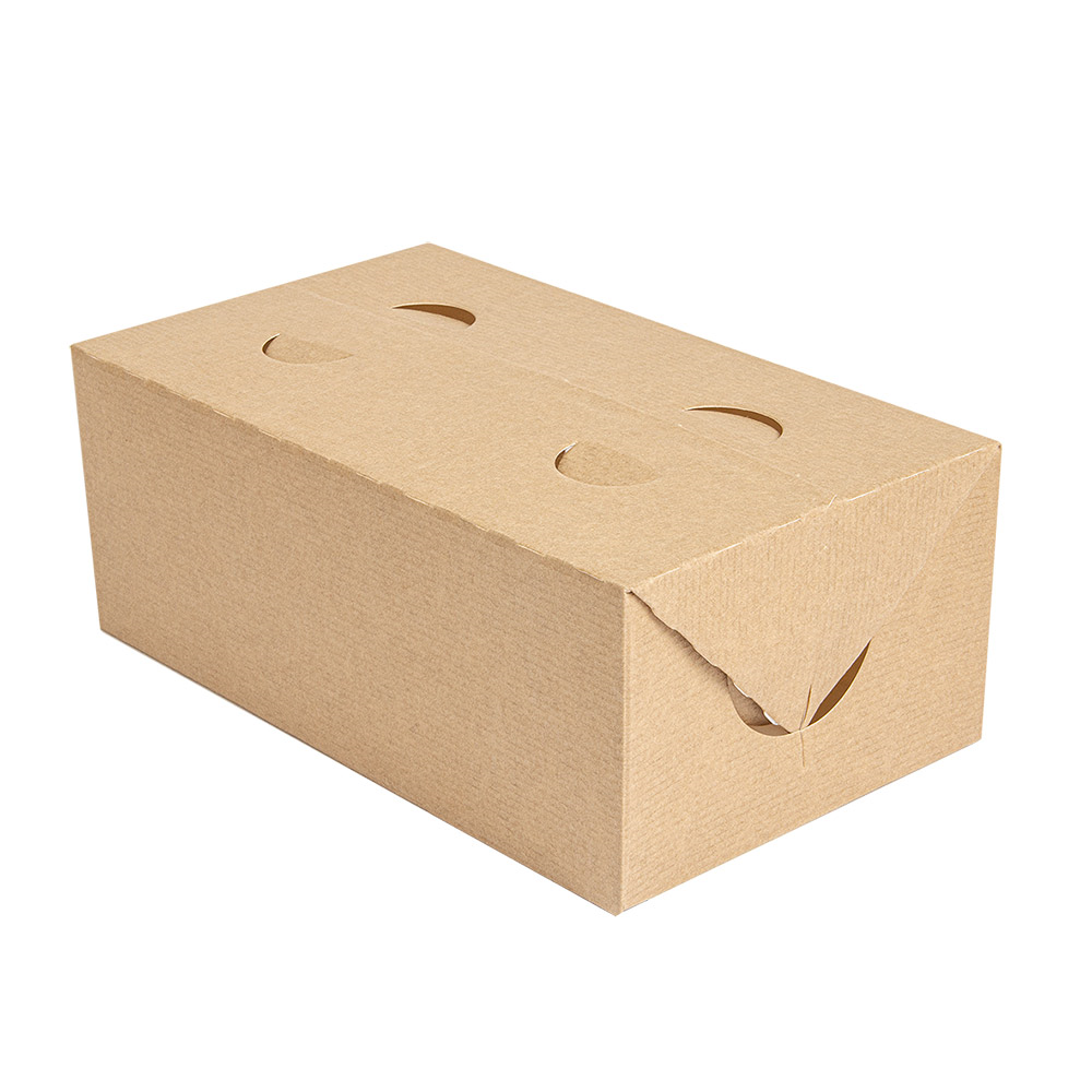 256.66-SCATOLE PORTA PRANZO 'THEPACK' 2 L 13x23x8 CM NATURALE CARTONE NANO-MICRO (50 u.)
