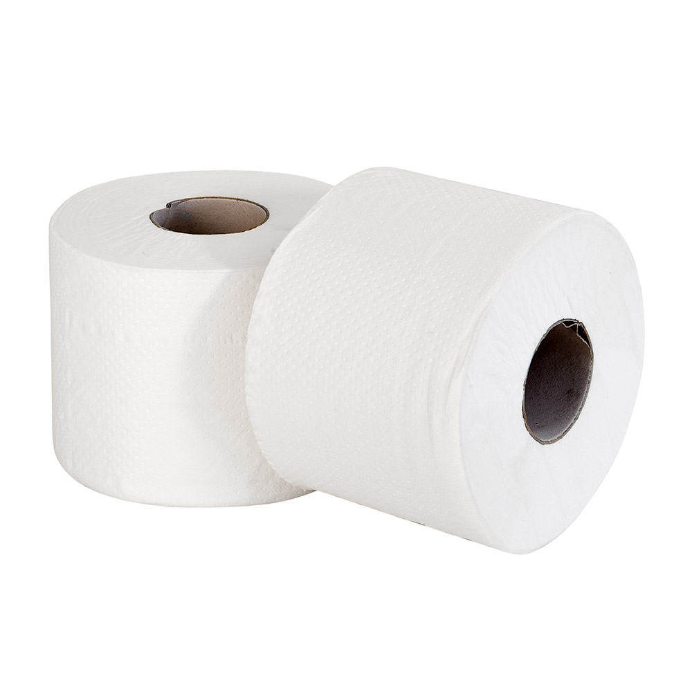 162.16-CARTA IGIENICA ECOLABEL 2 VELI 73M  17 G/M2 Ø12,5x9,5 CM BIANCO TISSUE (30 u.)