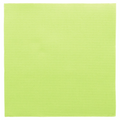 131.97-TOVAGLIOGI ECOLABEL 'DOUBLE POINT' 18 G/M2 39x39 CM VERDE ANICE TISSUE (50 u.)
