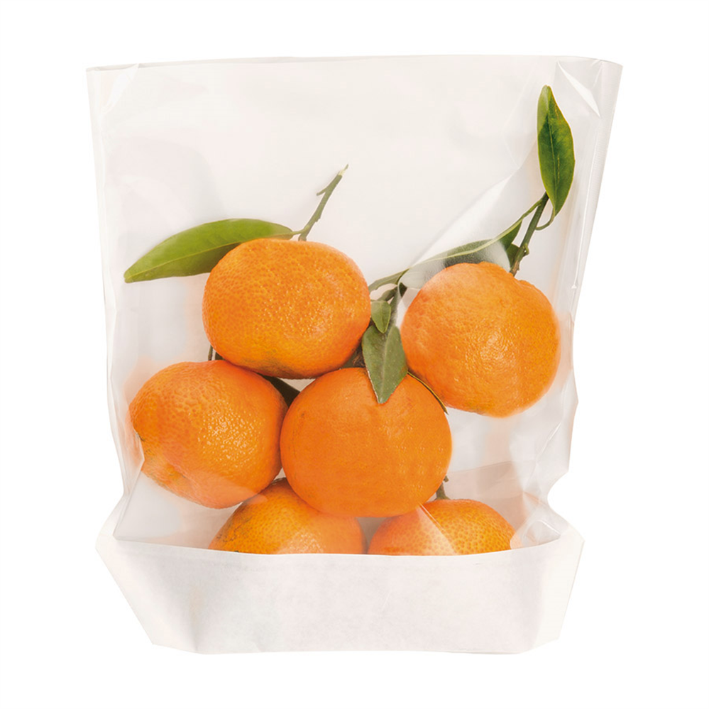 173.21-CONFEZIONI CON BASE E FINESTRA TURTLE PACK 50 G/M2 + 15 PP 20+3,5/3,5x24/21 CM BIANCO KRAFT (100 u.)
