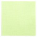 182.09-TOVAGLIOLI DRY COTTON 55 G/M2 40x40 CM KIWI AIRLAID (50 u.)