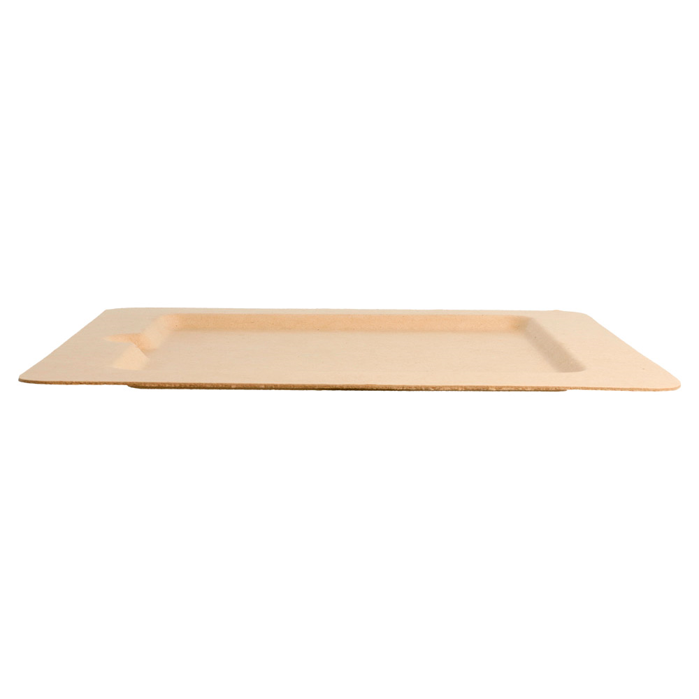 212.72-PIATTI QUADRATI 'BIONIC'  20x20x1 CM NATURALE BAGASSA (50 u.)